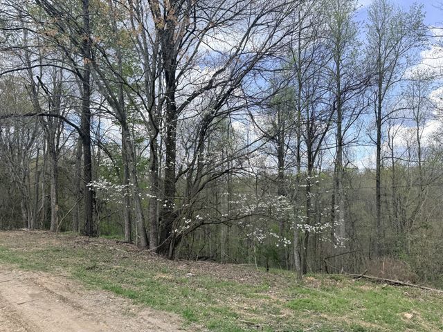 935 Sugar Tree Knob Rd, Liberty, TN 37095