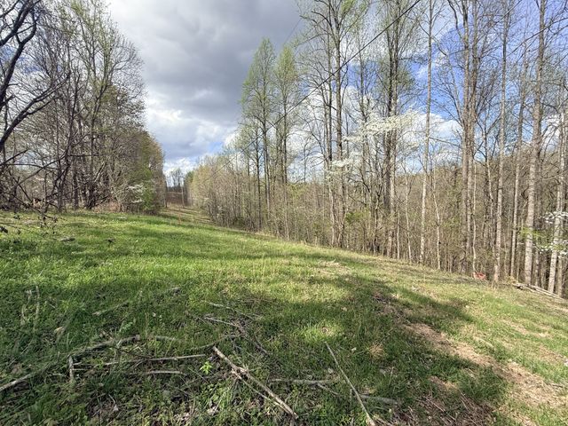 935 Sugar Tree Knob Rd, Liberty, TN 37095