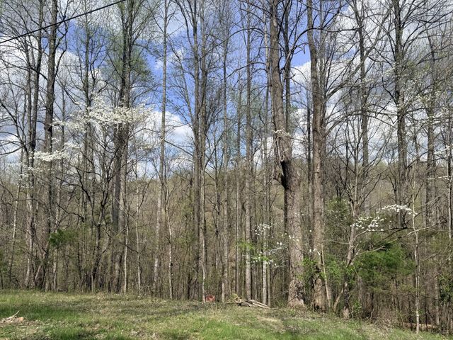 935 Sugar Tree Knob Rd, Liberty, TN 37095
