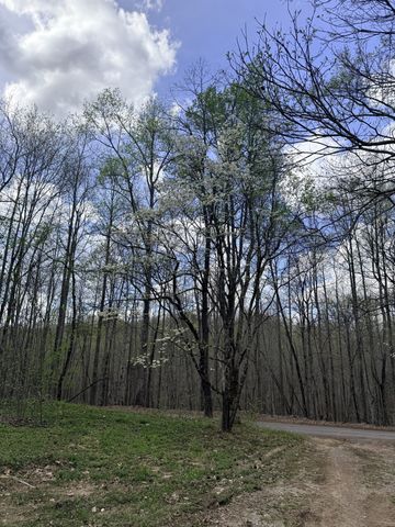 935 Sugar Tree Knob Rd, Liberty, TN 37095