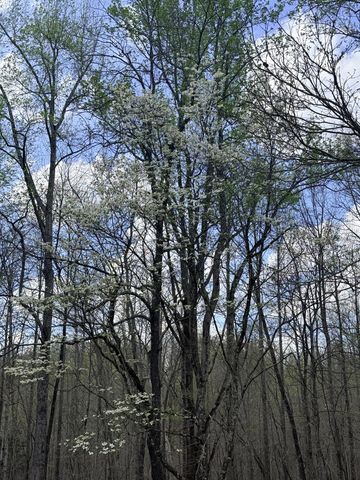 935 Sugar Tree Knob Rd, Liberty, TN 37095