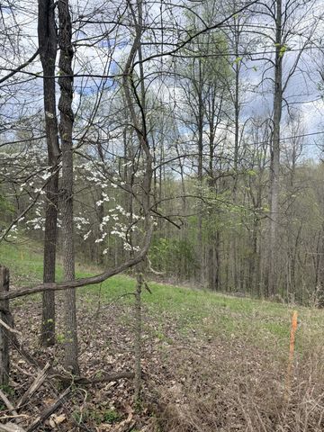 935 Sugar Tree Knob Rd, Liberty, TN 37095