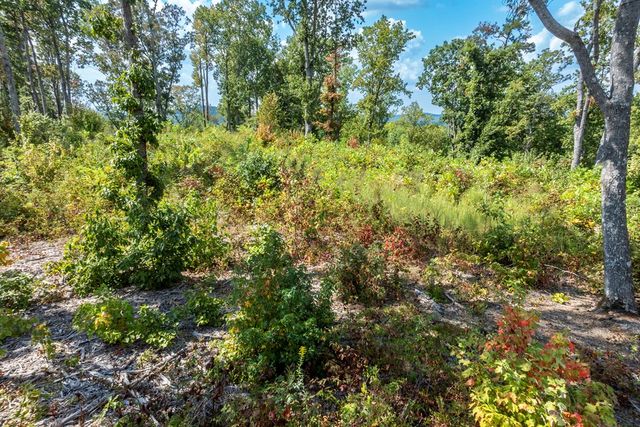 0 Highgrove Drive, Talking Rock, GA 30175