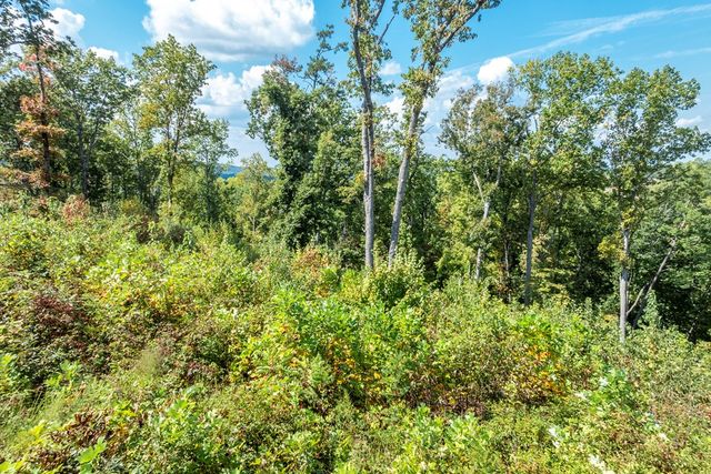 0 Highgrove Drive, Talking Rock, GA 30175