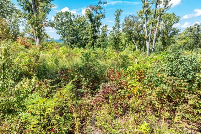 0 Highgrove Drive, Talking Rock, GA 30175