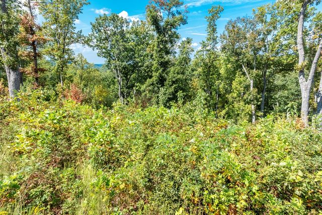 0 Highgrove Drive, Talking Rock, GA 30175