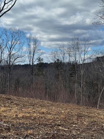 0 Highgrove Drive, Talking Rock, GA 30175