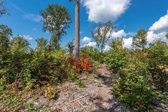 0 Highgrove Drive, Talking Rock, GA 30175