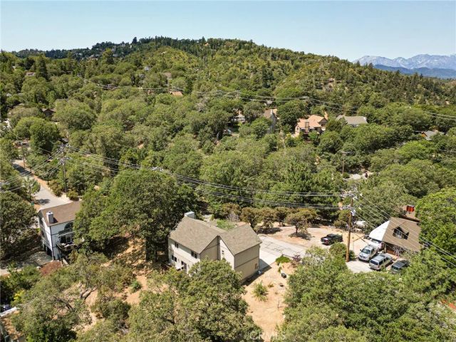 1509 Krause Lane, Lake Arrowhead, CA 92352
