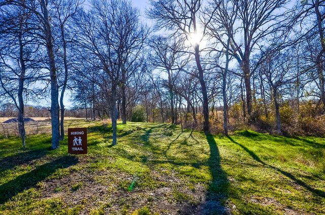 Lot 37 Sandy Cove Circle, Streetman, TX 75859