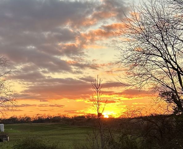 1113 Linn Cove Ct, Gallatin, TN 37066