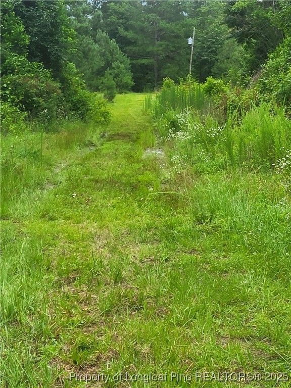 E Sarah Lane Lane E, Laurinburg, NC 28352