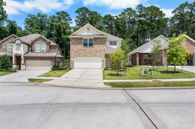 4362 Mcgregor Bluff Lane, Conroe, TX 77304