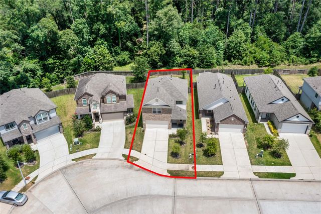 4362 Mcgregor Bluff Lane, Conroe, TX 77304