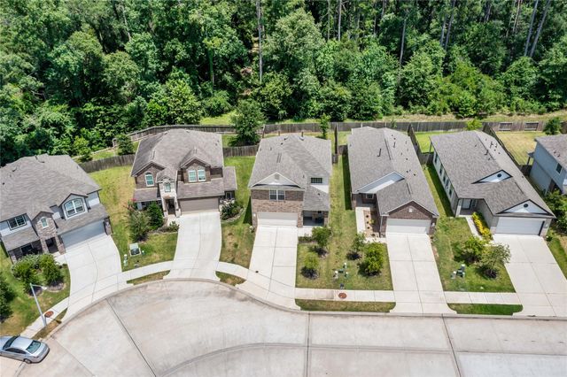 4362 Mcgregor Bluff Lane, Conroe, TX 77304