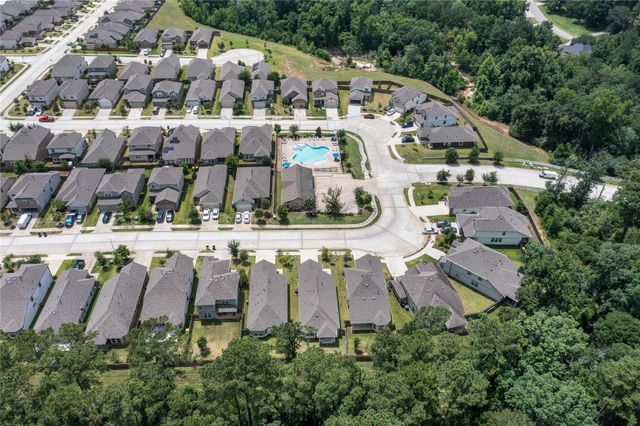4362 Mcgregor Bluff Lane, Conroe, TX 77304