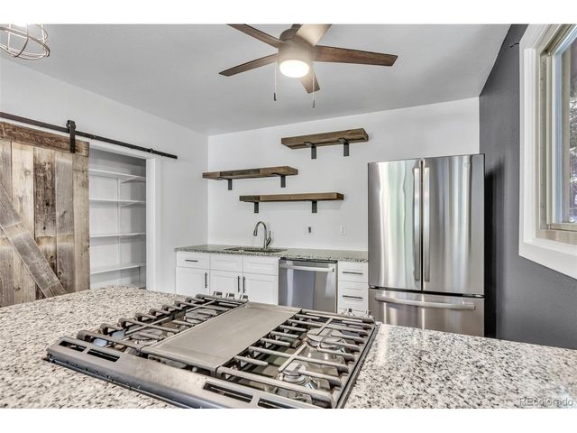 2180 Clear Creek Dr, Georgetown, CO 80444