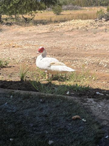 2160 County Road 204, Liberty Hill, TX 78642