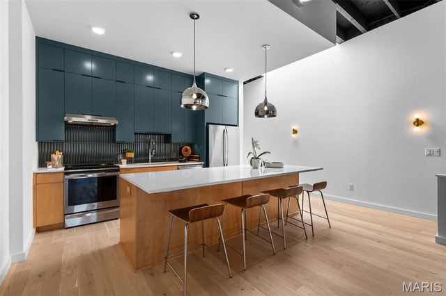 4738 McPherson Avenue 201, St Louis, MO 63108
