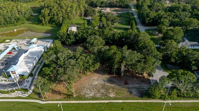 17380 RIVERSTONE DRIVE, Lutz, FL 33558