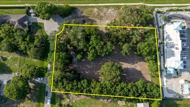 17380 RIVERSTONE DRIVE, Lutz, FL 33558