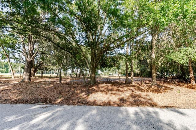 17380 RIVERSTONE DRIVE, Lutz, FL 33558