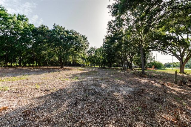 17380 RIVERSTONE DRIVE, Lutz, FL 33558