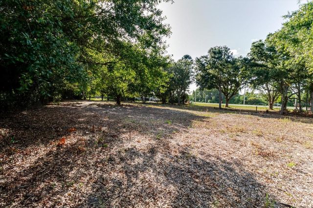 17380 RIVERSTONE DRIVE, Lutz, FL 33558