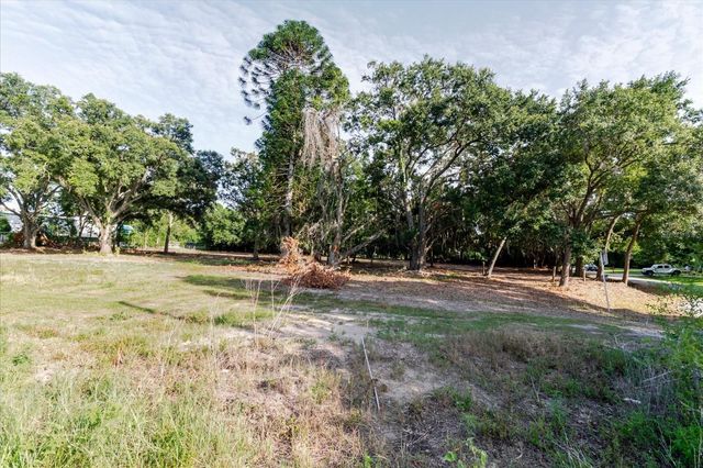 17380 RIVERSTONE DRIVE, Lutz, FL 33558