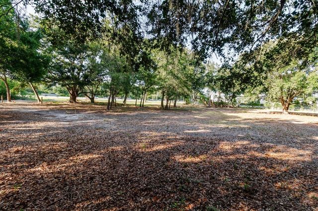 17380 RIVERSTONE DRIVE, Lutz, FL 33558