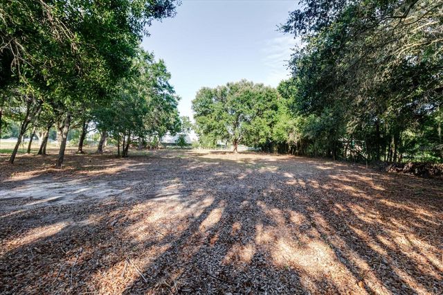 17380 RIVERSTONE DRIVE, Lutz, FL 33558