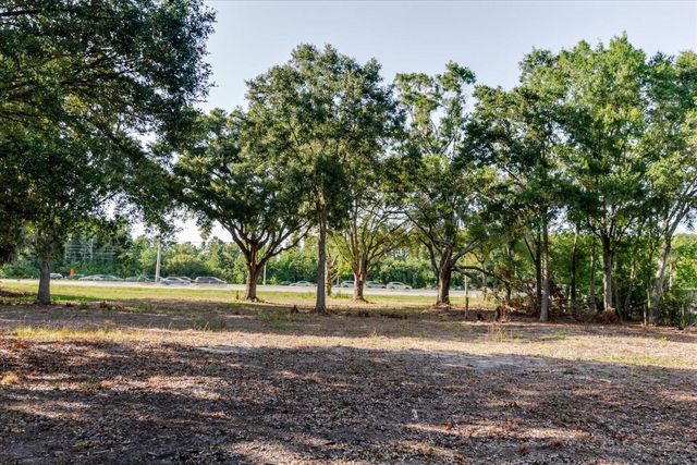 17380 RIVERSTONE DRIVE, Lutz, FL 33558