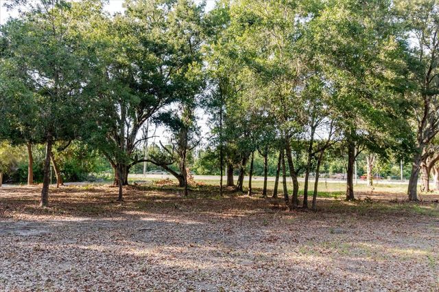 17380 RIVERSTONE DRIVE, Lutz, FL 33558
