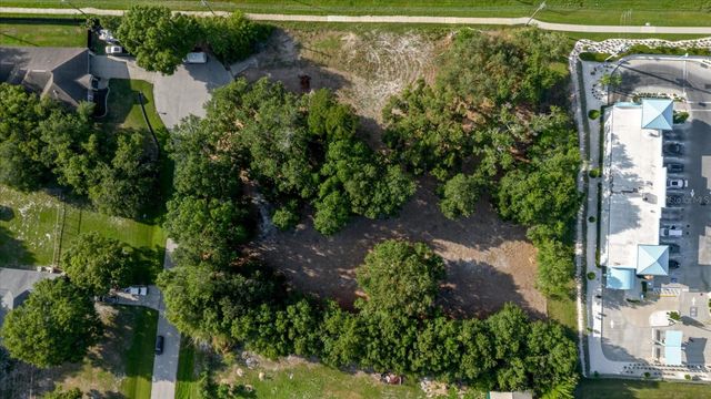 17380 RIVERSTONE DRIVE, Lutz, FL 33558