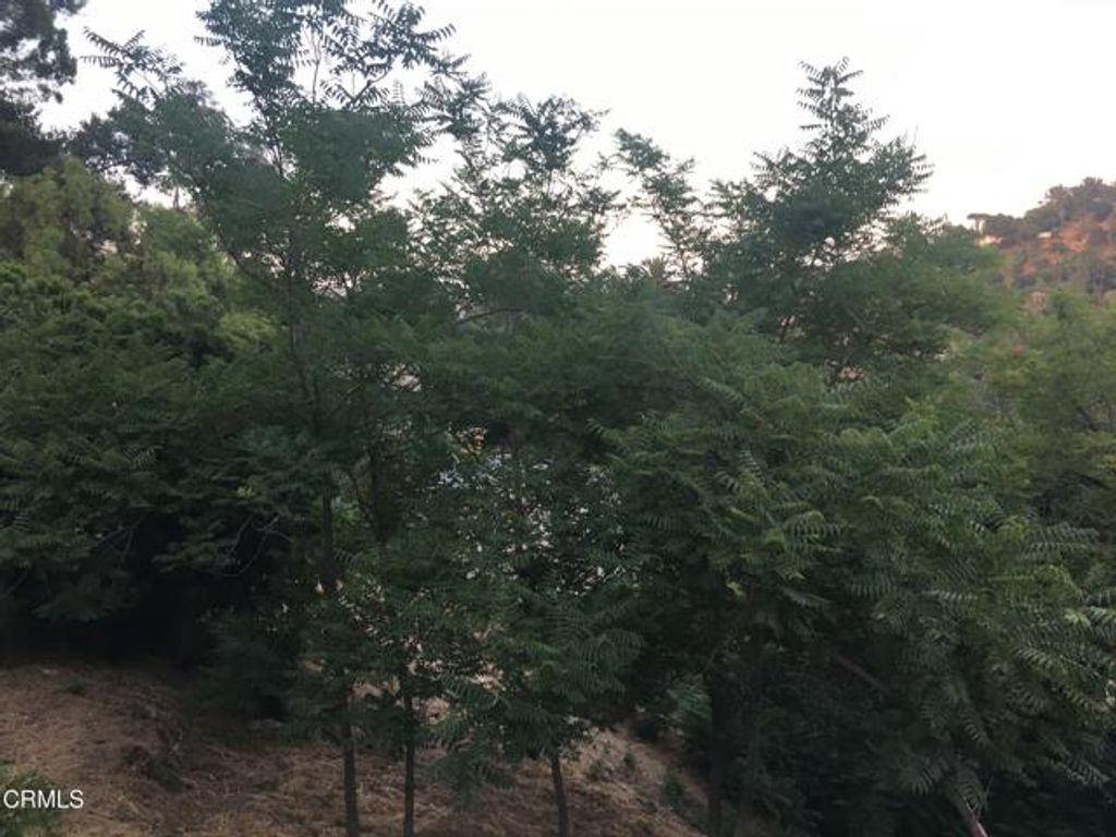 Earl APN 5422-009-040 Court, Los Angeles, CA 90039