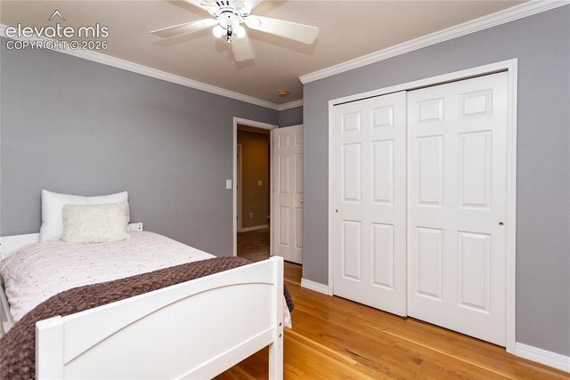 4835 Newstead Place, Colorado Springs, CO 80906
