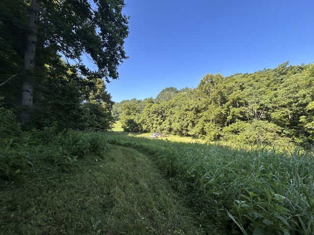 0 E Cave Spring Rd, Pulaski, TN 38478