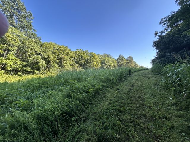0 E Cave Spring Rd, Pulaski, TN 38478
