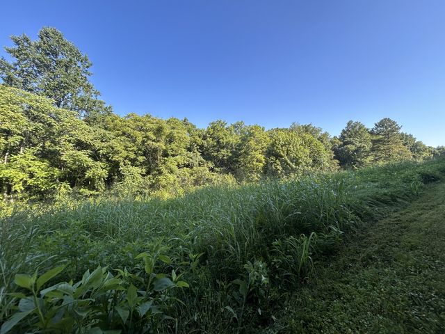 0 E Cave Spring Rd, Pulaski, TN 38478