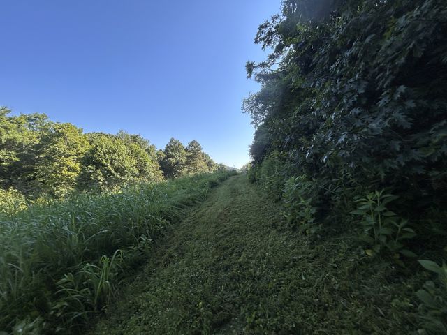 0 E Cave Spring Rd, Pulaski, TN 38478