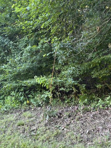 0 E Cave Spring Rd, Pulaski, TN 38478