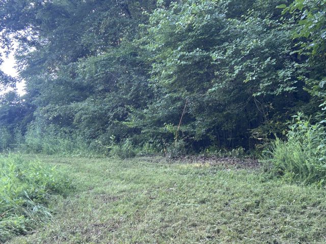 0 E Cave Spring Rd, Pulaski, TN 38478