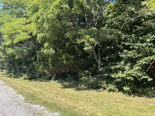 0 E Cave Spring Rd, Pulaski, TN 38478