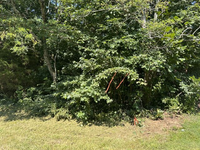 0 E Cave Spring Rd, Pulaski, TN 38478