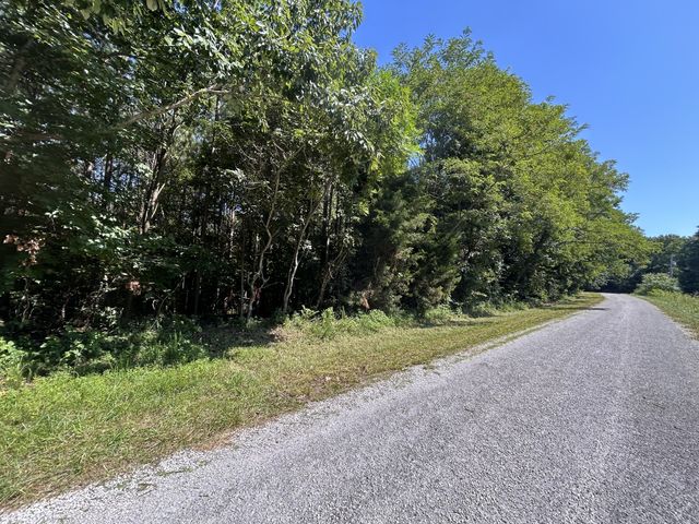 0 E Cave Spring Rd, Pulaski, TN 38478