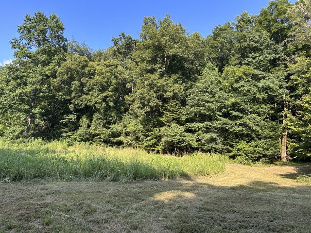 0 E Cave Spring Rd, Pulaski, TN 38478