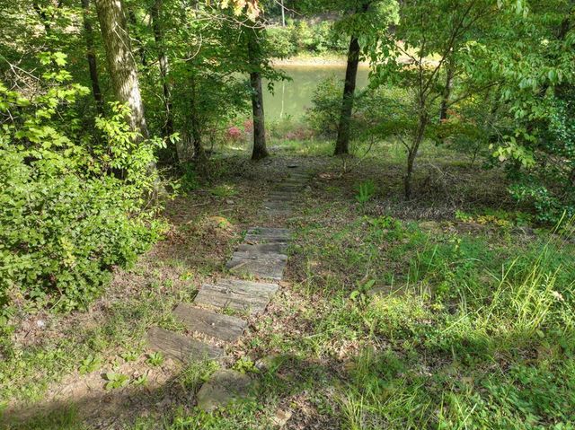 210 Indian Lake Road, Mineral Bluff, GA 30559