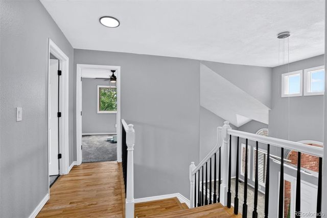 87 Buckthorn Drive, Littleton, CO 80127
