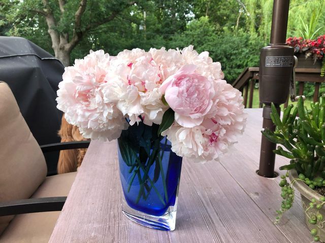 4713 Fairhills Road W, Minnetonka, MN 55345