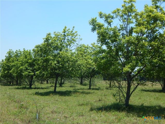 20441 Fm 2268, Holland, TX 76534